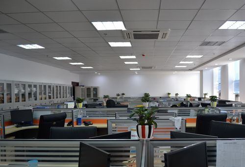 康健水文：解锁植物油多样化的康健密码:植物油